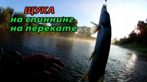 Щука как прилов при ловле голавля на спиннинг. Ловля щуки.