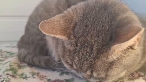 Настроение🤣