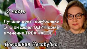 3 часть. Лучший день тер@боньки❗️ЭТО он делал ОДИН дома в течение ТРЁХ ЧАСОВ❗️