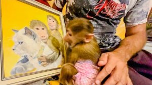 Не перестаю УДИВЛЯТЬСЯ талантливым людям! Маня любуется картиной, а Степка с енотом и котом играют!