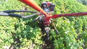 прополка междурядий