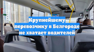 Крупнейшему перевозчику в Белгороде не хватает водителей