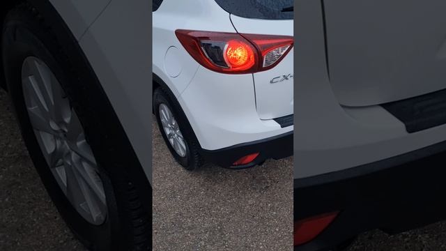 1000341051.mp4 смотреть онлайн