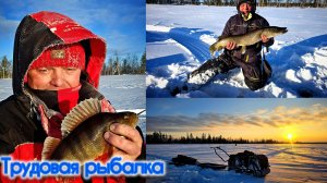 НАЛЕДЬ ОКУНЬ ЩУКА КАЙФ