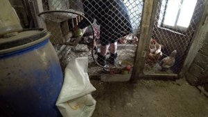 Влог от 21.03.2022