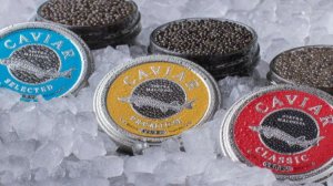 Как делают Чёрную икру