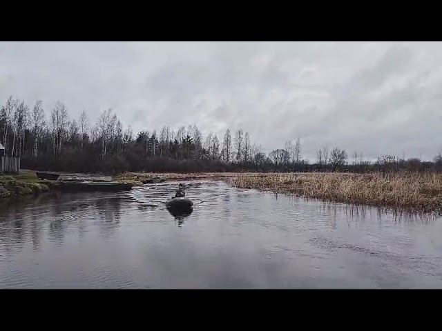 17 апреля 2024