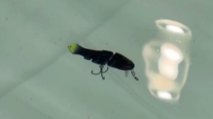 Игривый «Игорёк»