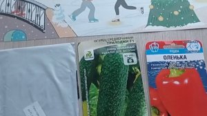 Огурцы Трилоджи ф1