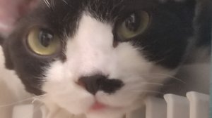 Год моему каналу🎉 СПАСИБО