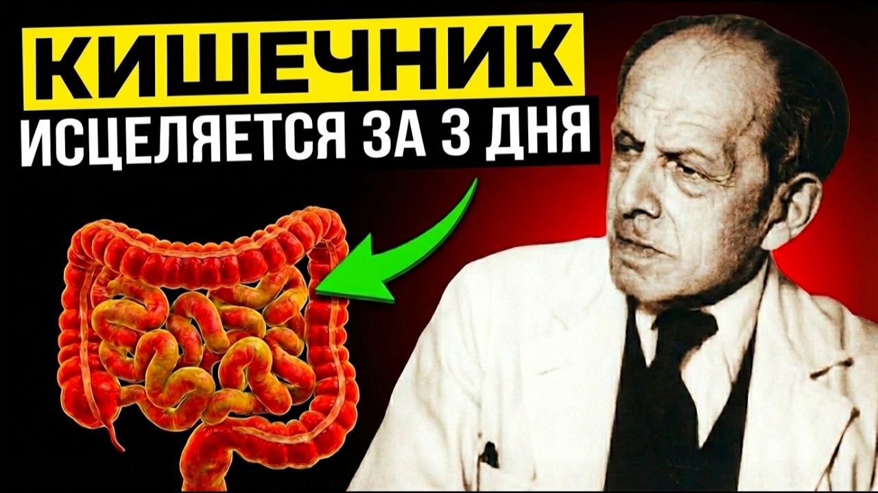 Болезни ГНИЮТ в КИШЕЧНИКЕ. Пока не поздно - ЗАПОМНИТЕ - методы Залманова смотреть онлайн