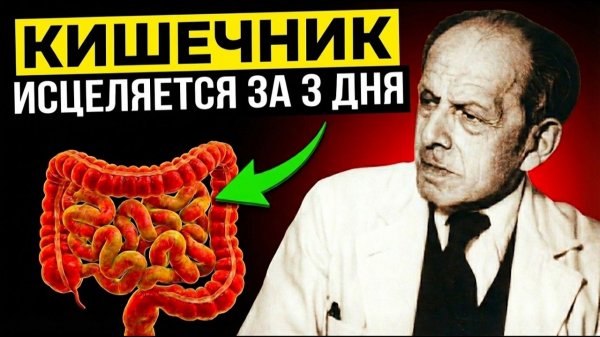 Болезни ГНИЮТ в КИШЕЧНИКЕ. Пока не поздно - ЗАПОМНИТЕ - методы Залманова