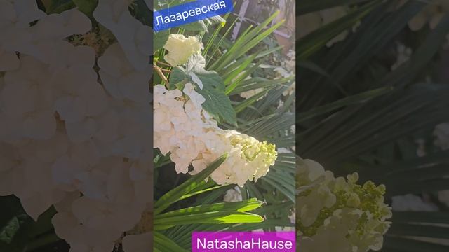 вспоминаем о лете