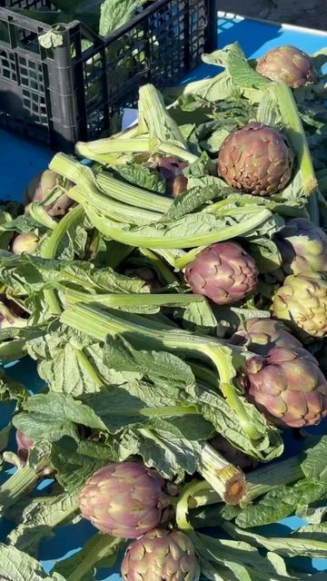 2026 год, зима, февраль, Италия, рынок, цены, Mercato Settimanale, Puglia.