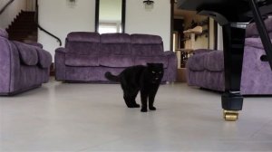 SPRUNKI ERATER позвоните меня