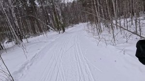 трасса ЕА 2026 за неделю до старта