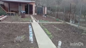 ПРИЕХАЛИ НА ДАЧУ. ТЕПЛО +16.ПОЧИСТИЛИ КЛУБНИКУ.