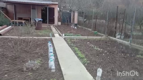 ПРИЕХАЛИ НА ДАЧУ. ТЕПЛО +16.ПОЧИСТИЛИ КЛУБНИКУ.