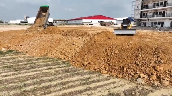 Wonderful New Project Huge Size! Landfill by Expert Bulldozer SHANTUI, 25ton Team Dump Truck Unload