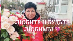 14.02.26 Весна в душе и на столе! Лебеди ❤️. Обед от мужа 💥