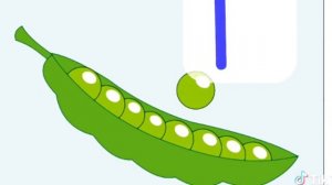 Учим алфавит вместе