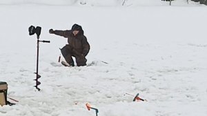 VID_20260214_204805_097