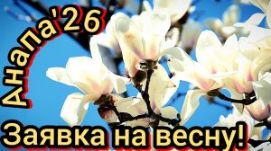 #Анапа #веснаидетвеснедорогу #лебеди #море #кайф14-02-2026