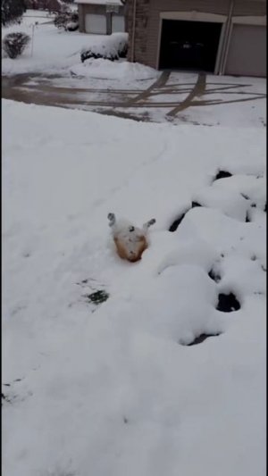 Продолжаем радоваться снегу😍))