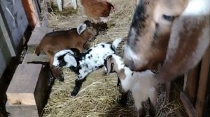 14-02-2026 Самостоятельные стали 🤷.