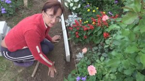 6 соток в июле. Оформила бордюрам цветочную клумбу. Красиво и практично. Не поправляла 4 года.