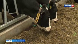 Кировская область стала лидером по производству сельхозпродукции