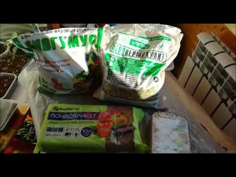 Подготовка почвы для рассады