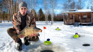 Это просто шок! Зимняя рыбалка на карпа