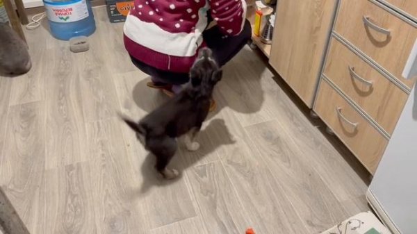 КУПИЛИ СТАРЫЙ ДОМ НА ХУТОРЕ И СПУСТЯ 6 ЛЕТ…