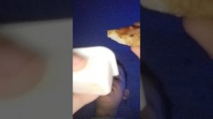 Я ем на камеру