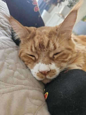 Подписывайтесь на меня и моих подписчиков