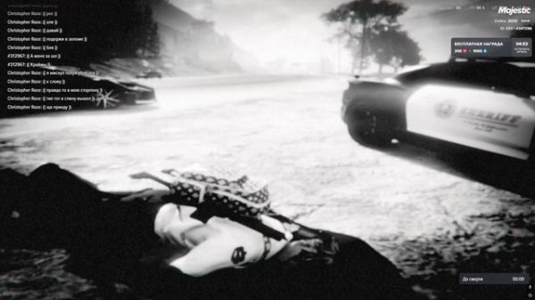 дм нрп драйв