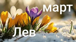 Таро расклад для Львов на март 2026 года