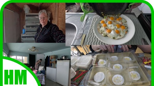 14 февраля. Уборка на веранде. Готовка еды. Семена перца на прорастание.