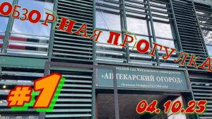 Аптекарский огород #1