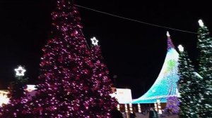 Переехали на Юг/Проводили детей/На городскую ёлку в Ставрополь.