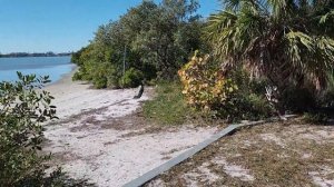 #388 From RV Travel to Riding Alligators! USA Adventure 14.02.2026