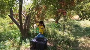 Фильм о семье кочевников Ирана/57 серия