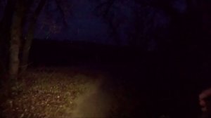 Клип о рыбалке