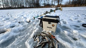 Плотва на "мотылку-безмотылку" в глухозимье