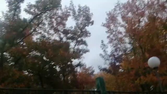 Архивное видео смотреть онлайн