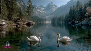 Я чувствую Твоё тепло.