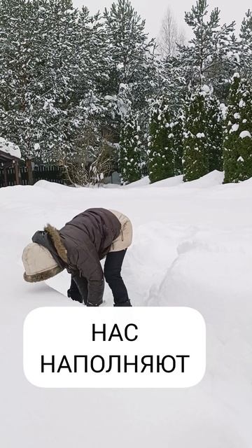 Забота. Питание. Движение.
