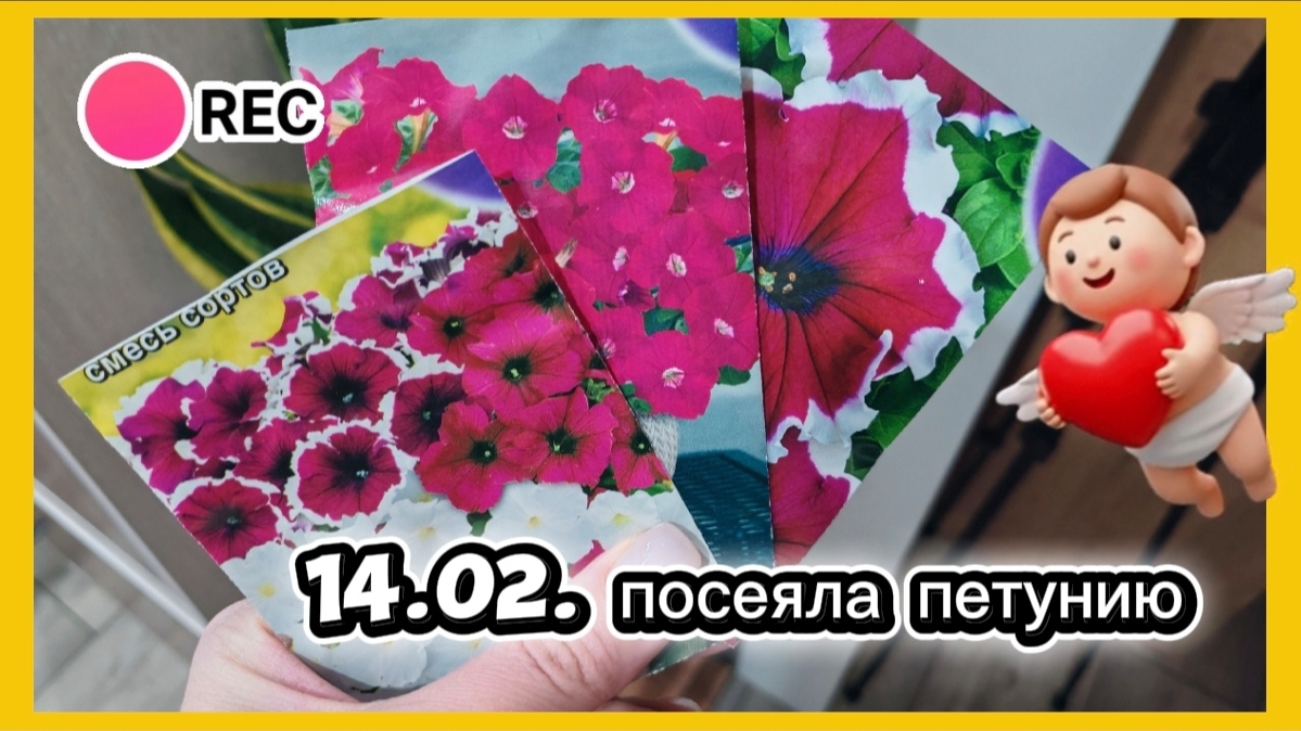 Посеяла петунию 🌸👌