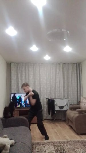 сегодня я и мой кот